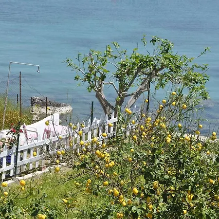 Molos Beach Apartments Paleokastritsa Room photo