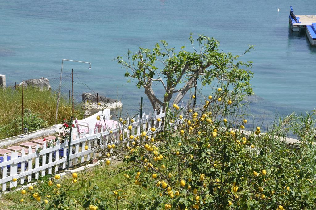 Διαμέρισμα Molos *